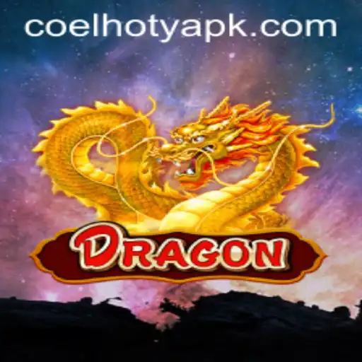 Dragon: An Enchanting Game Experience with Coelhoty